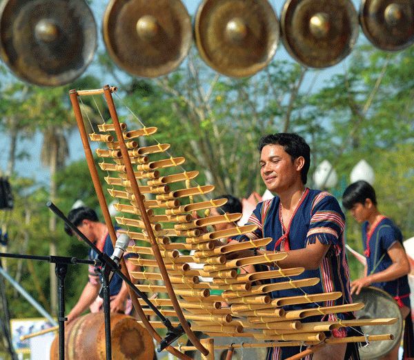 Học nhạc cụ dân tộc để biểu diễn chuyên nghiệp